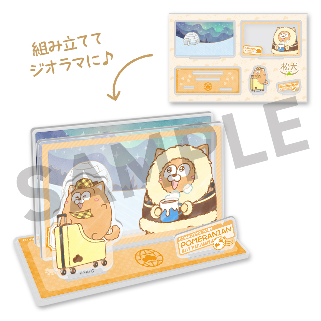 ポメラニアンの画像