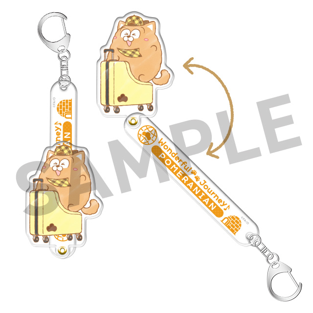 ポメラニアンの画像