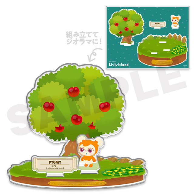 ピグミーの画像