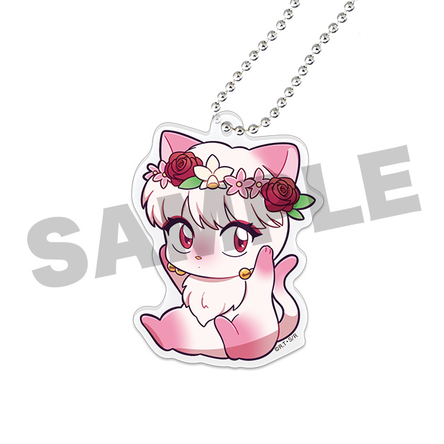 シャンプー(猫)の画像